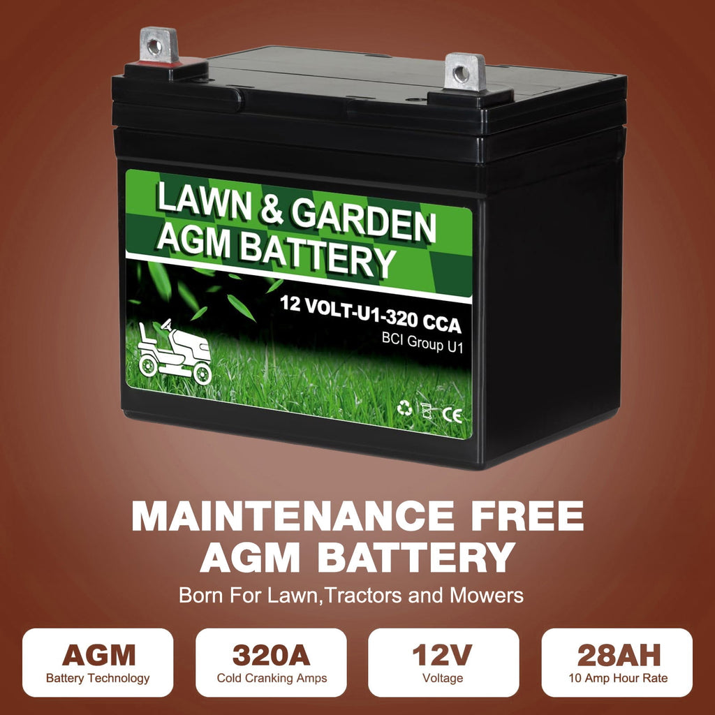 Anlibatt Lawn and Garden AGM Battery, Group Size U1 12 Volt, 350 CCA 33 Amp, Top Post for Lawn Mower/Tractor